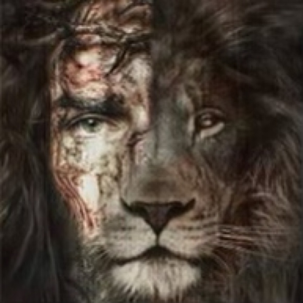 Meet your Posher, Shayna